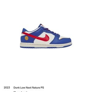 Youth Nike low dunks ‘superhero’